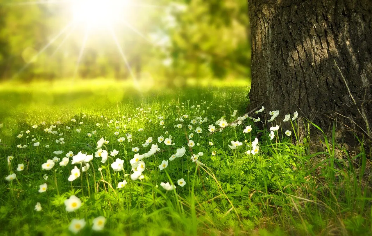 Ecology